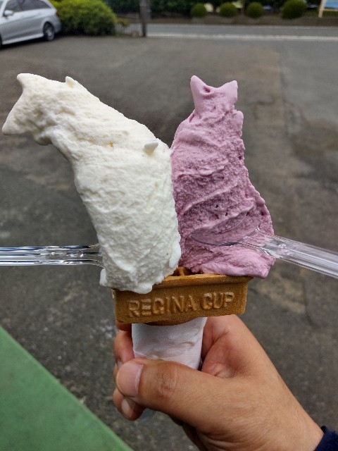 カナサシファーム アイス工房のジェラート 海老名市 ぴーかんブログ カナサシファーム アイス工房のジェラート 海老名市 ぴーかんブログ