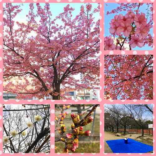 f:id:farmert160:20180320095552j:plain