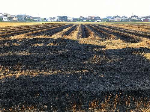 f:id:farmert160:20200531095457j:plain f:id:farmert160:20200531095457j:plain