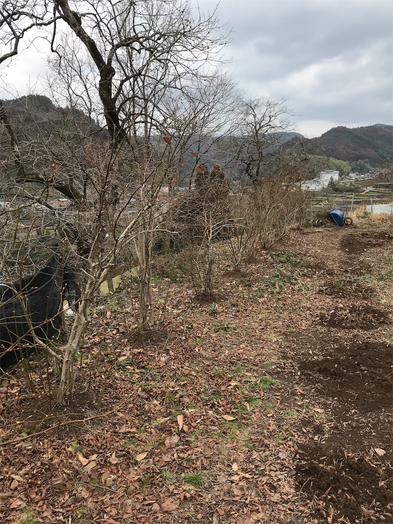 f:id:farmroadster:20190218220624j:image f:id:farmroadster:20190218220624j:image
