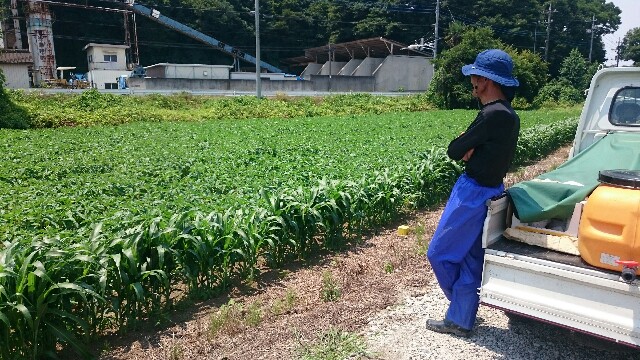 f:id:farmwell:20170709212621j:image f:id:farmwell:20170709212621j:image
