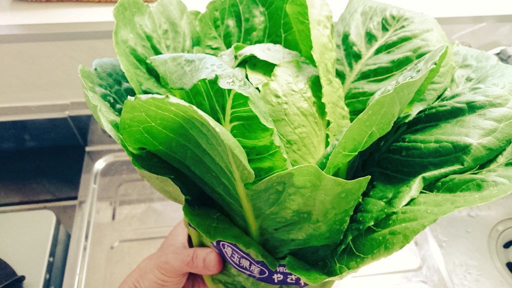 f:id:farmwell:20190708215601j:plain