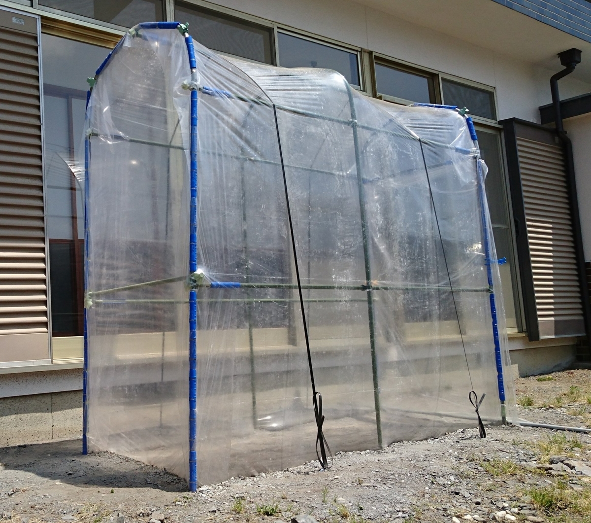 f:id:farmwell:20190708215759j:plain