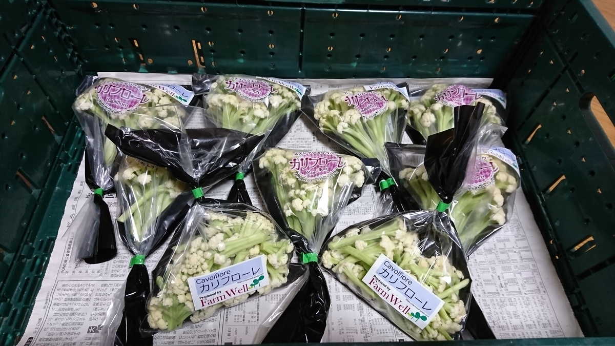 f:id:farmwell:20191104214625j:plain