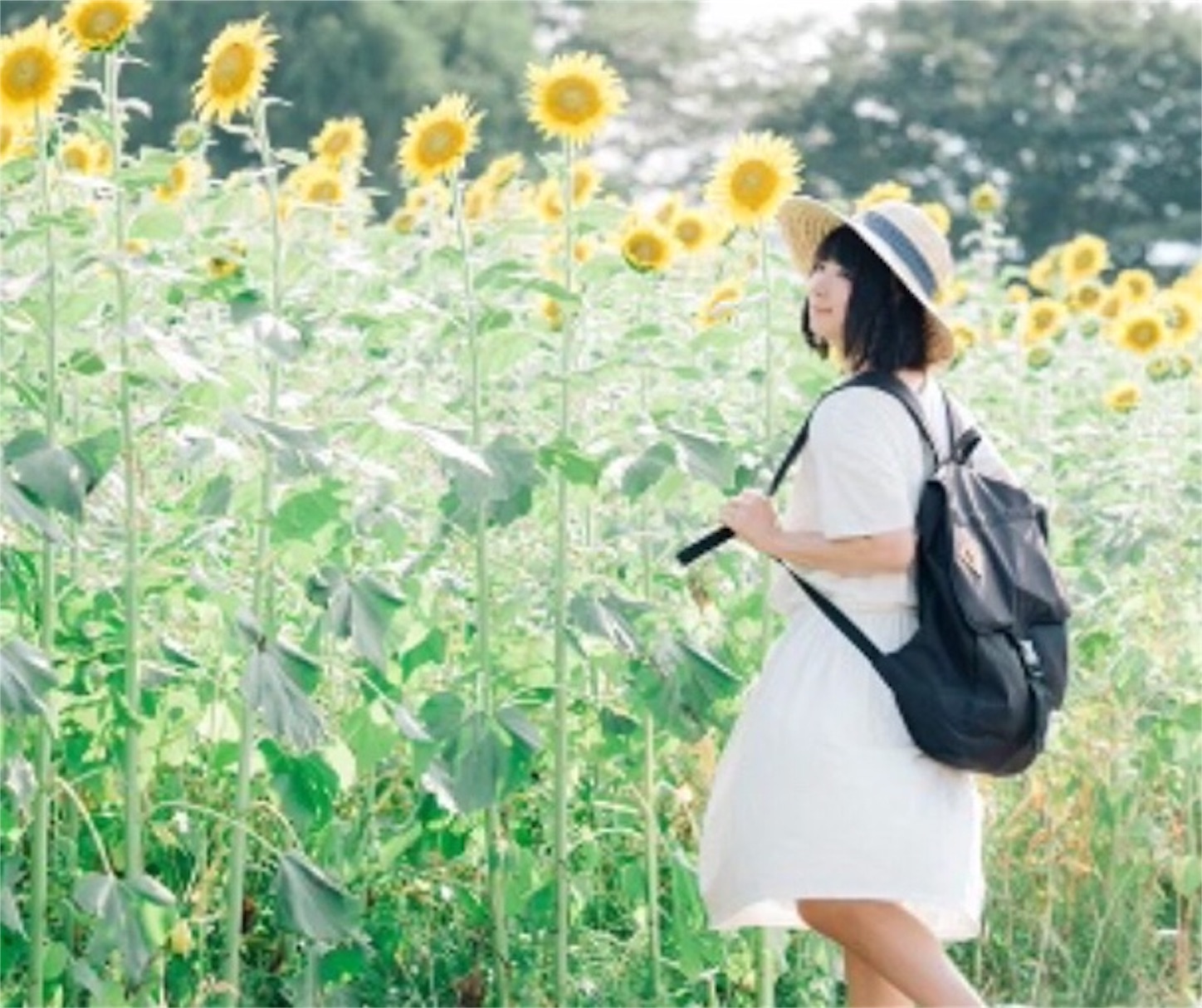 f:id:fashionpt:20190724123918j:image