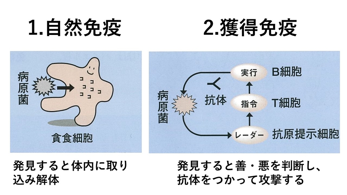 f:id:fastingchange:20200426192037j:plain