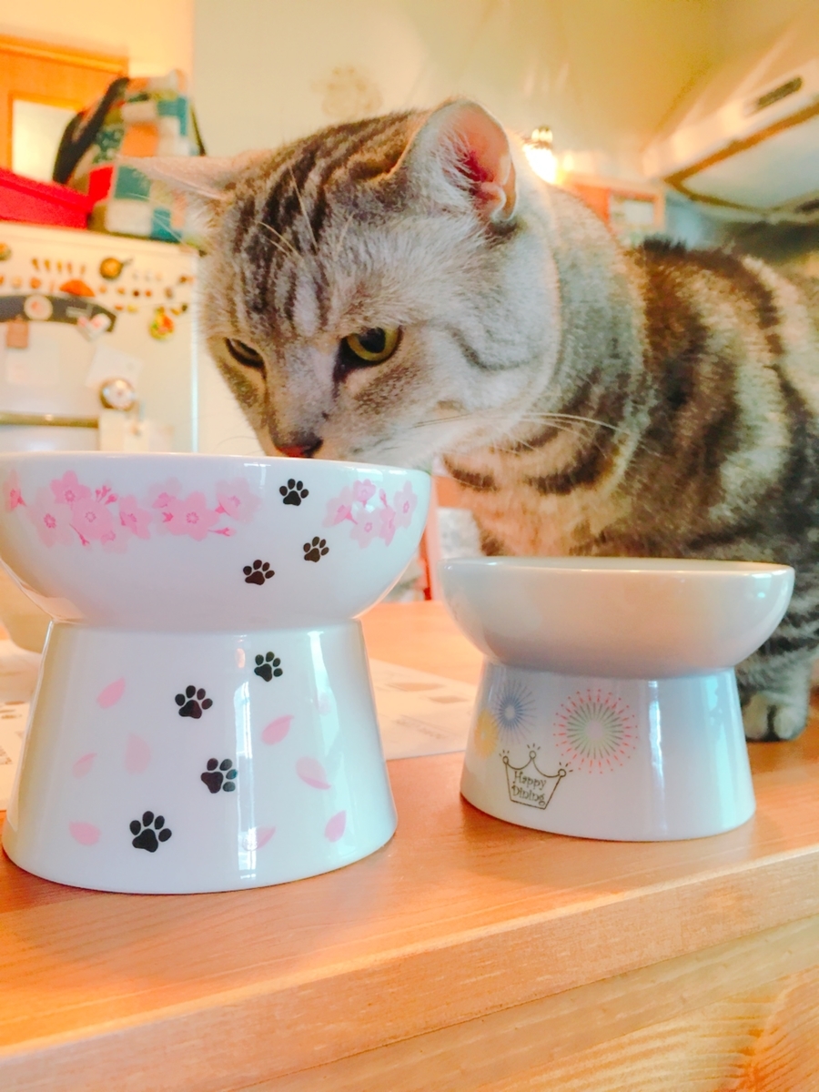 f:id:fatelinker:20190812140258j:plain f:id:fatelinker:20190812140258j:plain