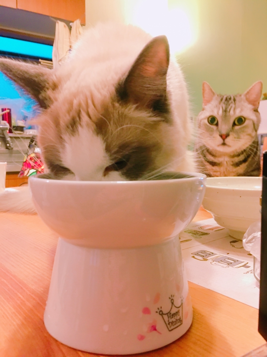 f:id:fatelinker:20190812141921j:plain f:id:fatelinker:20190812141921j:plain