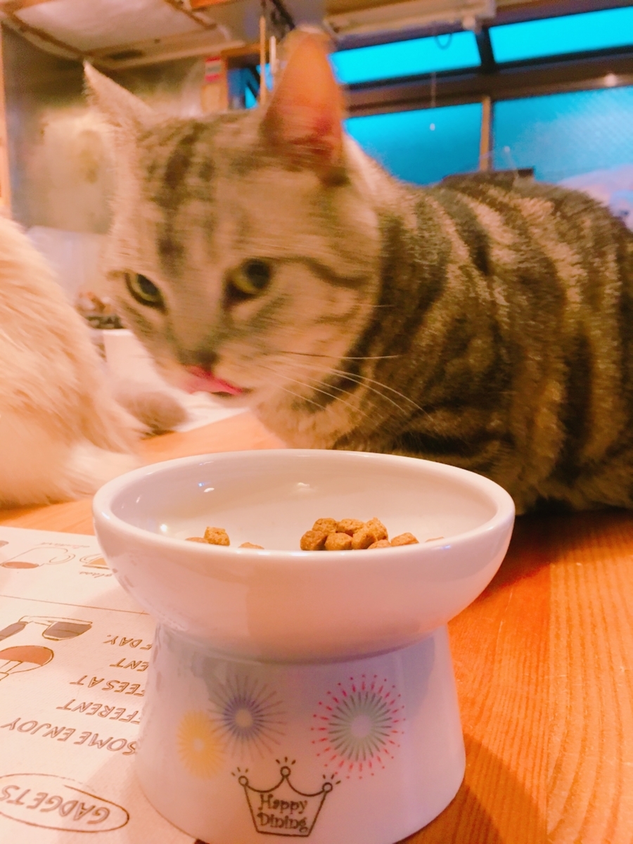 f:id:fatelinker:20190812142030j:plain f:id:fatelinker:20190812142030j:plain