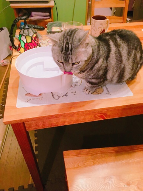 f:id:fatelinker:20190813165808j:plain f:id:fatelinker:20190813165808j:plain