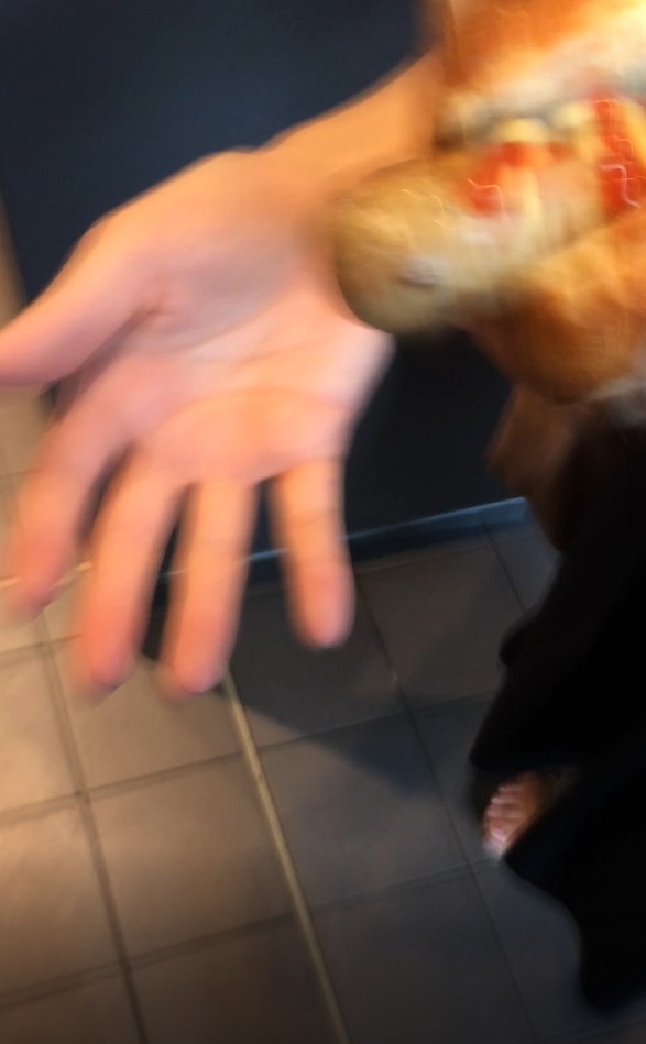 f:id:fatelinker:20190914231502j:plain f:id:fatelinker:20190914231502j:plain