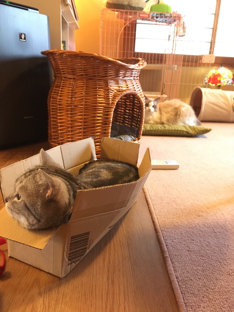 f:id:fatelinker:20190916041421j:plain f:id:fatelinker:20190916041421j:plain