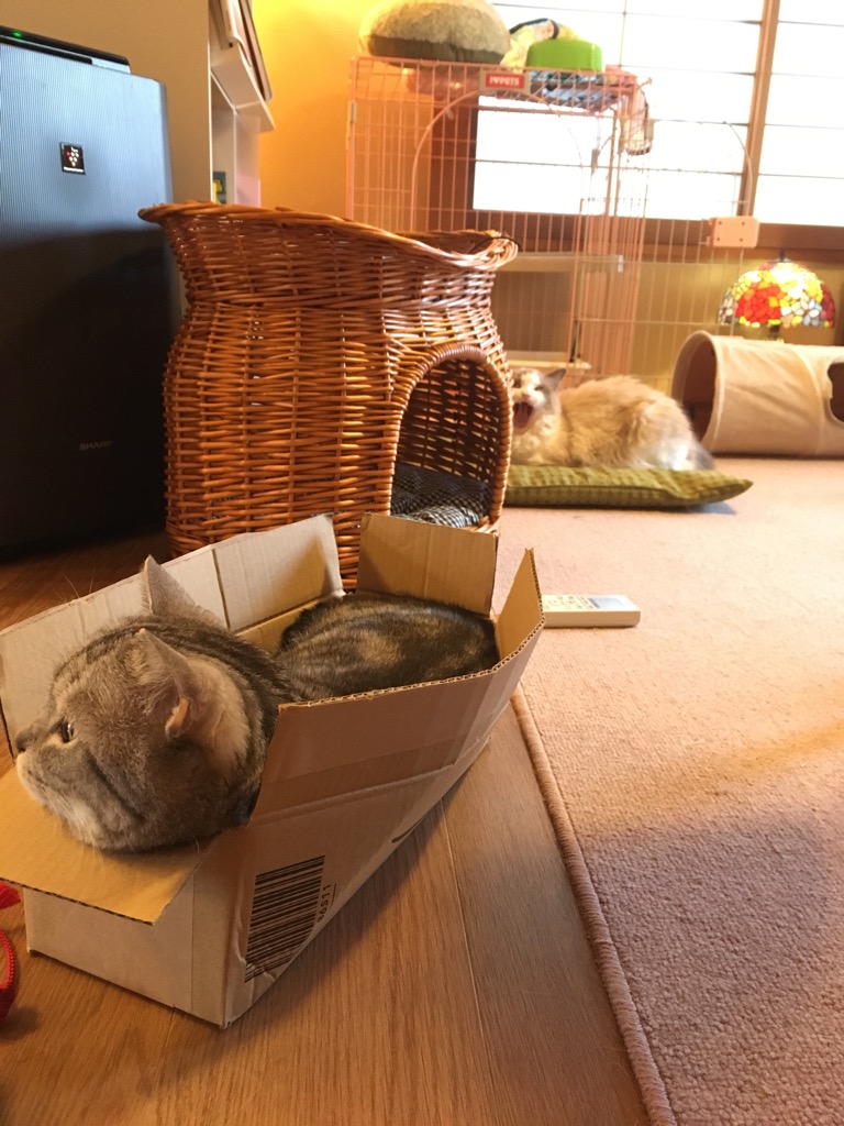 f:id:fatelinker:20190916041516j:plain f:id:fatelinker:20190916041516j:plain