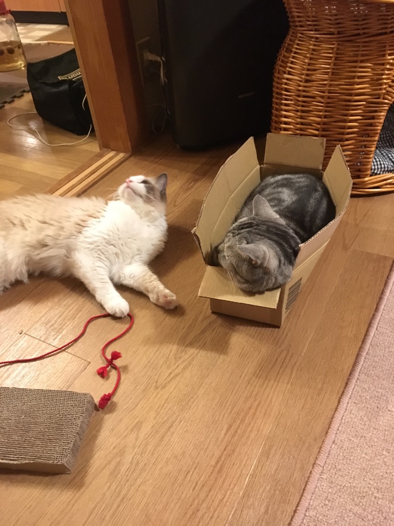 f:id:fatelinker:20190916042439j:plain f:id:fatelinker:20190916042439j:plain