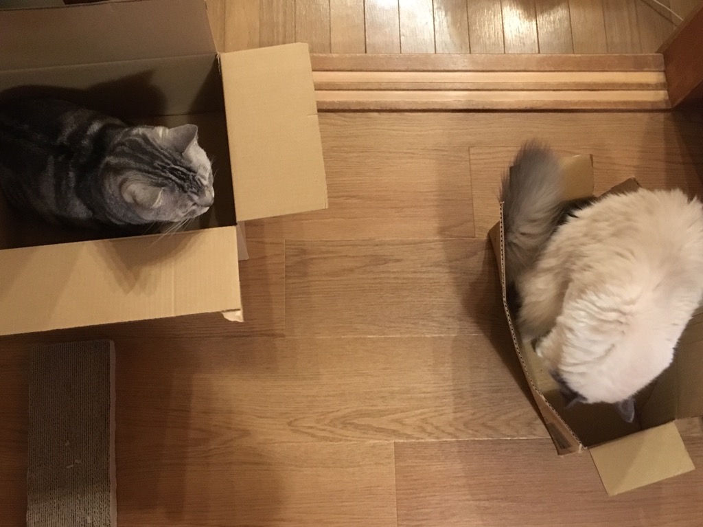 f:id:fatelinker:20190916043432j:plain f:id:fatelinker:20190916043432j:plain