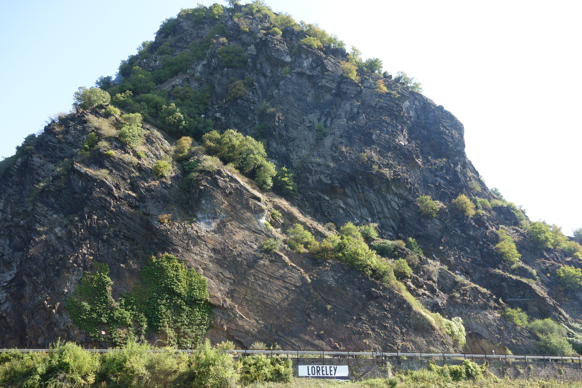 f:id:fatelinker:20190919014826j:plain f:id:fatelinker:20190919014826j:plain