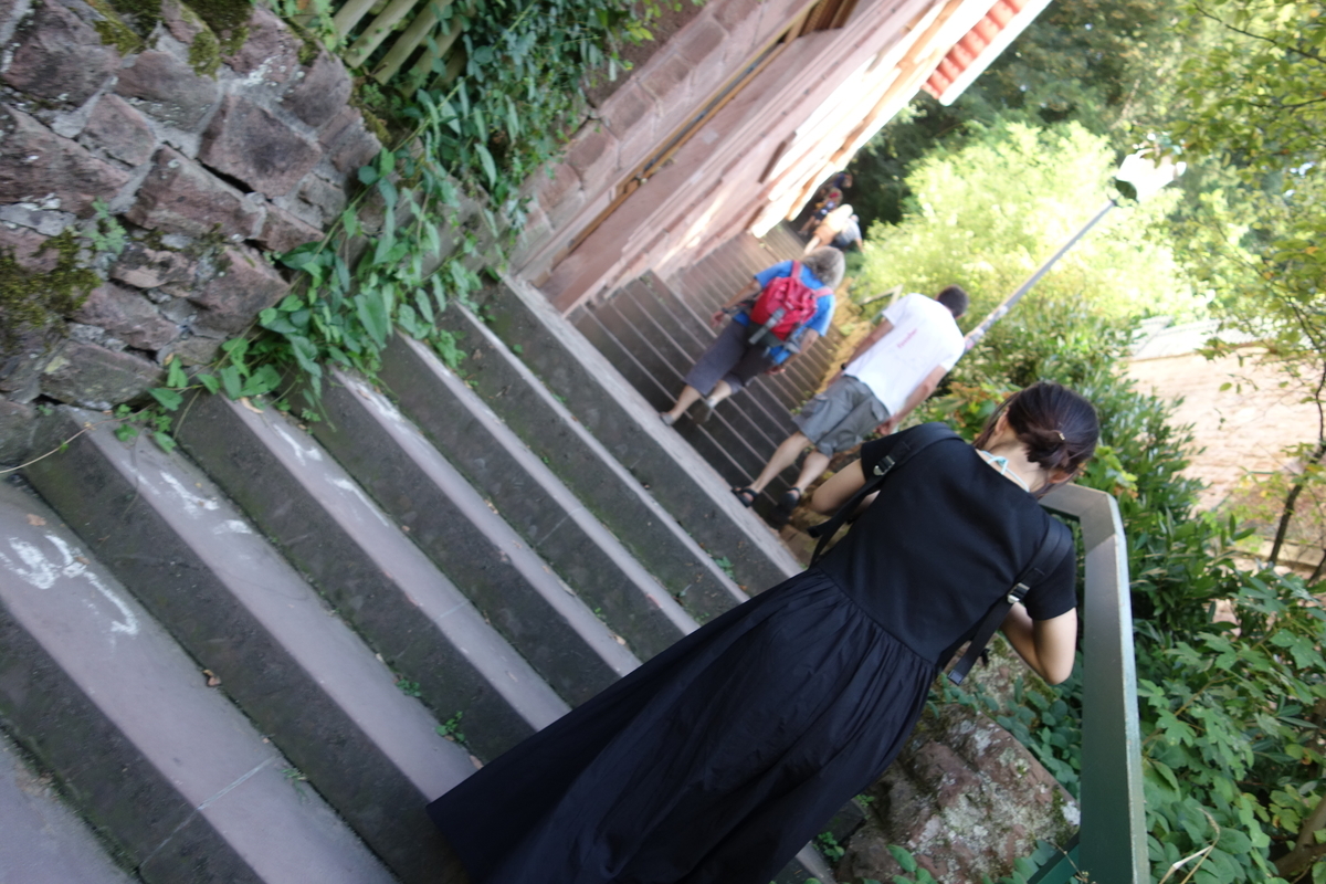 f:id:fatelinker:20190919125722j:plain f:id:fatelinker:20190919125722j:plain