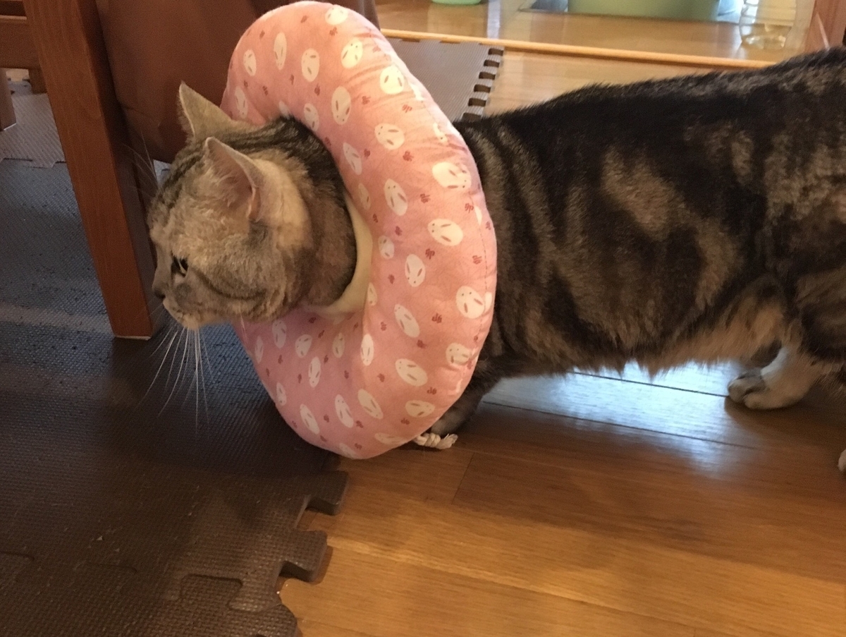 f:id:fatelinker:20190924143910j:plain f:id:fatelinker:20190924143910j:plain