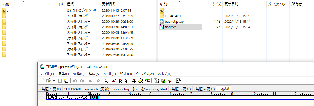 f:id:fatsheep:20201125105337p:plain