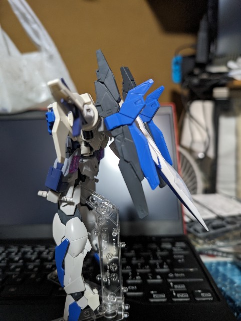 f:id:fauna2023:20231022105851j:image f:id:fauna2023:20231022105851j:image