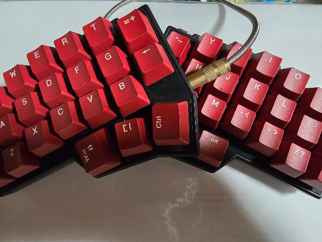 f:id:fauna2023:20240710200002j:image