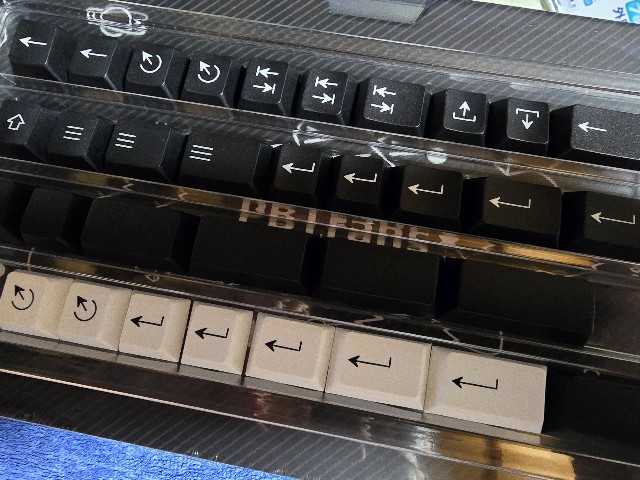 f:id:fauna2023:20240710200030j:image