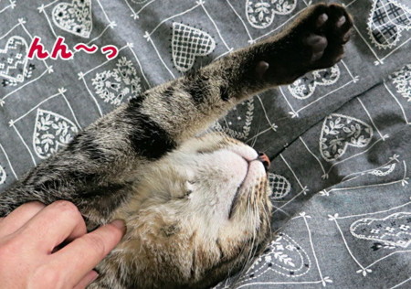 f:id:fauni:20130904180450j:image