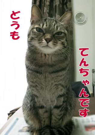 f:id:fauni:20140117195949j:image