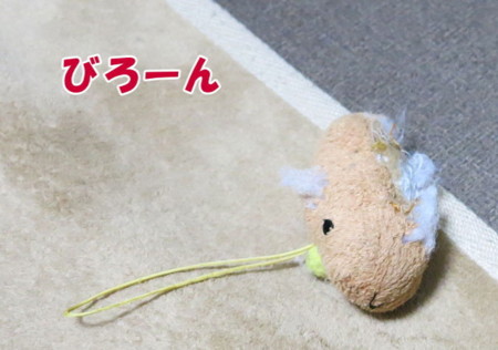 f:id:fauni:20140314194132j:image f:id:fauni:20140314194132j:image