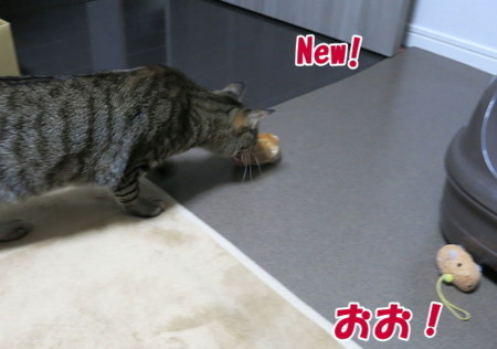 f:id:fauni:20140314194137j:image f:id:fauni:20140314194137j:image