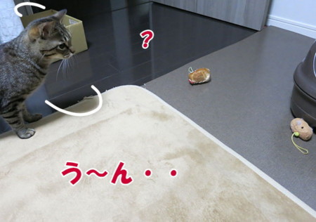 f:id:fauni:20140314194138j:image f:id:fauni:20140314194138j:image