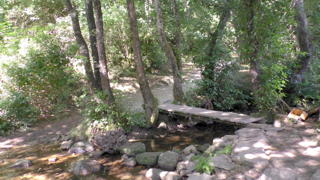 聖地サンティアゴを目指す！巡礼1日目