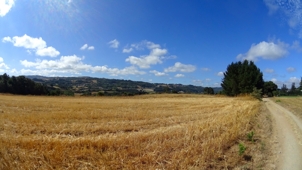 聖地サンティアゴを目指す！巡礼1日目