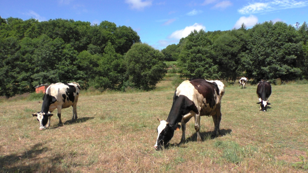 聖地サンティアゴを目指す！巡礼1日目