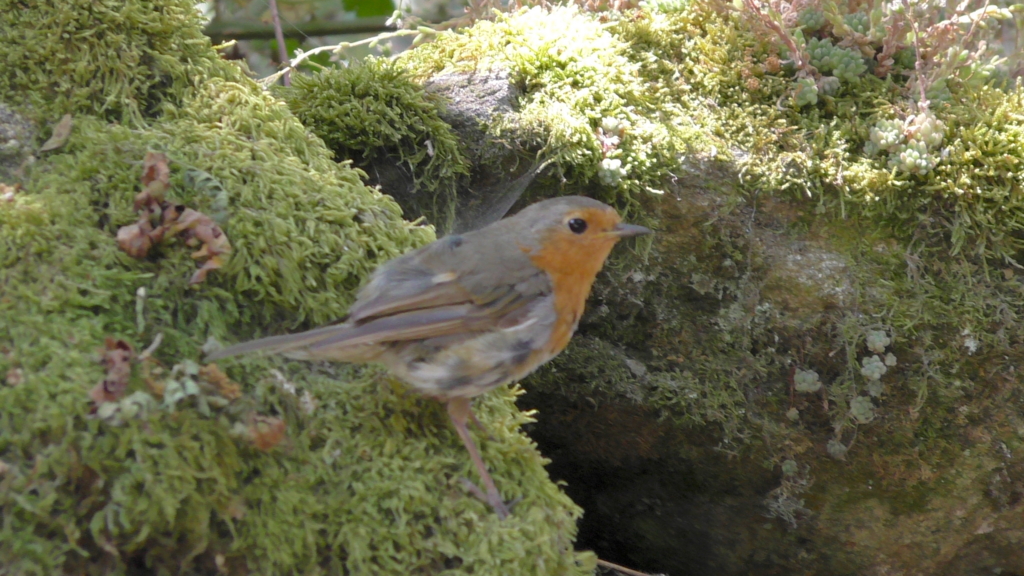 聖地サンティアゴを目指す！巡礼1日目