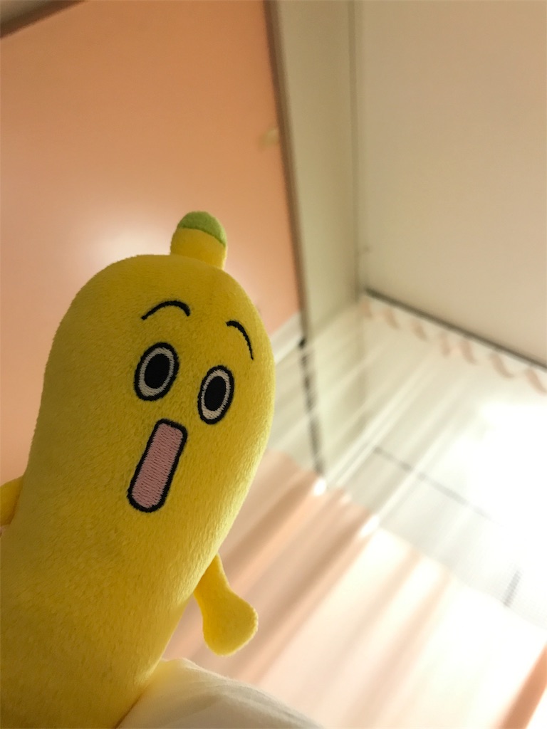 f:id:favor0000:20170411231632j:image