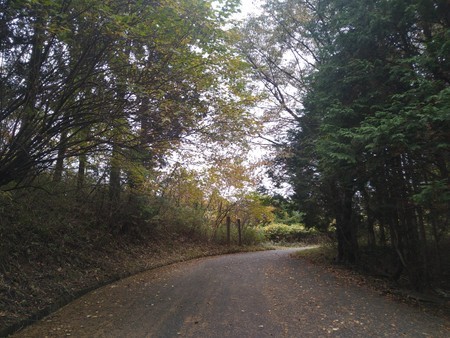 f:id:favorite_blue:20201116181159j:plain