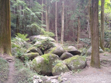 f:id:favorite_blue:20201116181651j:plain