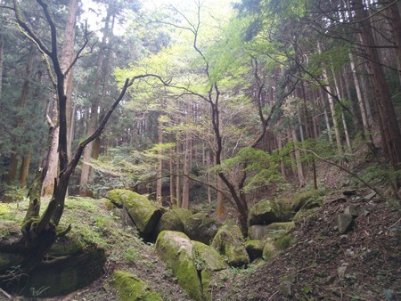 f:id:favorite_blue:20201116181744j:plain