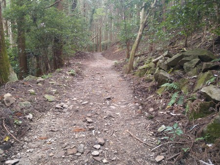 f:id:favorite_blue:20201116182206j:plain