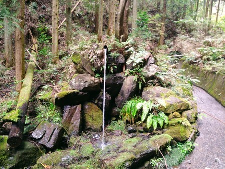 f:id:favorite_blue:20201116184839j:plain