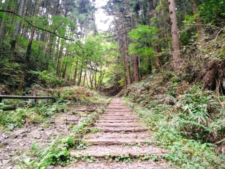 f:id:favorite_blue:20201116184840j:plain