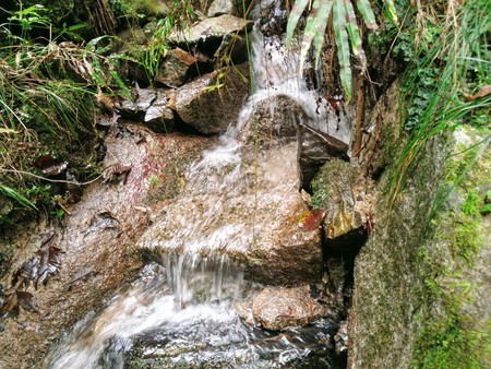 f:id:favorite_blue:20201116185524j:plain