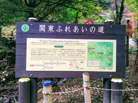 f:id:favorite_blue:20201116190444j:plain