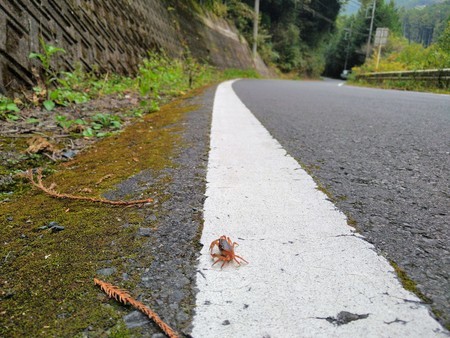 f:id:favorite_blue:20201116190704j:plain