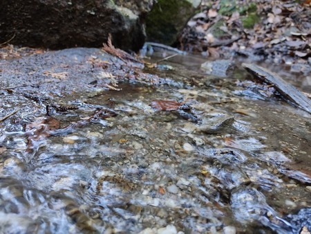 f:id:favorite_blue:20210103084813j:plain