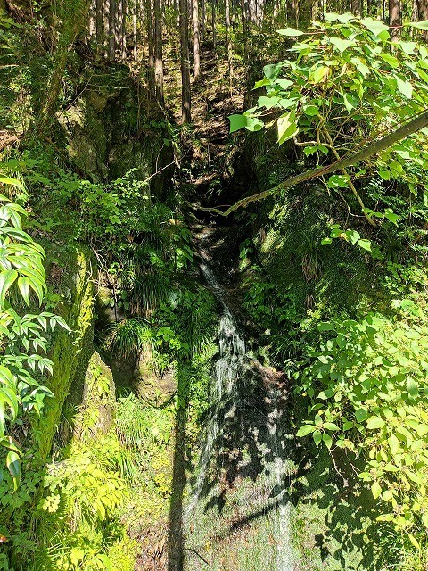 不動水　周囲の緑