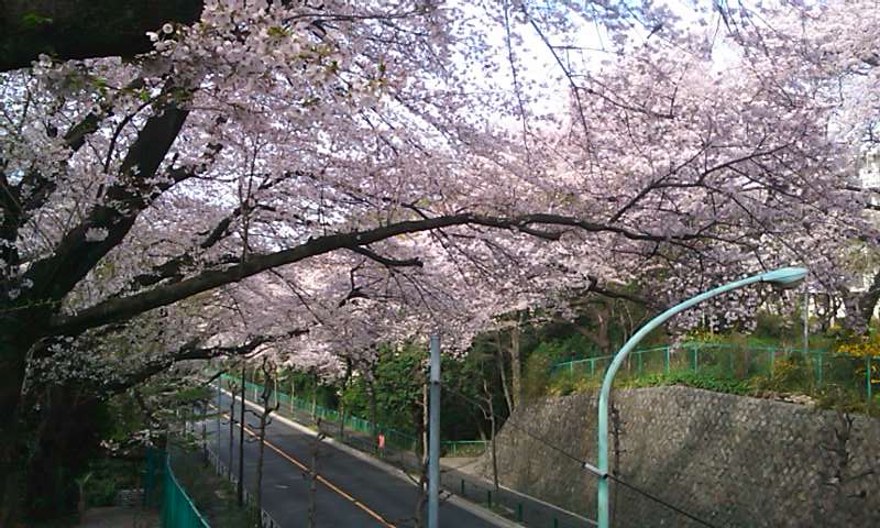 f:id:favre-4:20110410084752j:image f:id:favre-4:20110410084752j:image