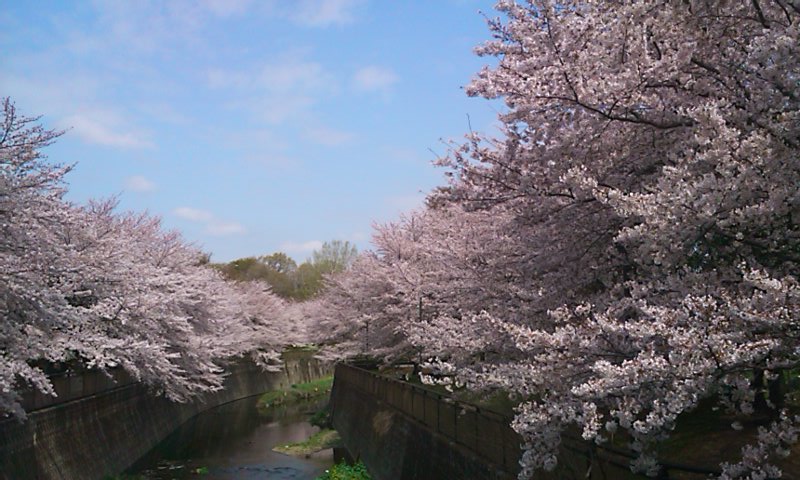 f:id:favre-4:20110410094231j:image f:id:favre-4:20110410094231j:image