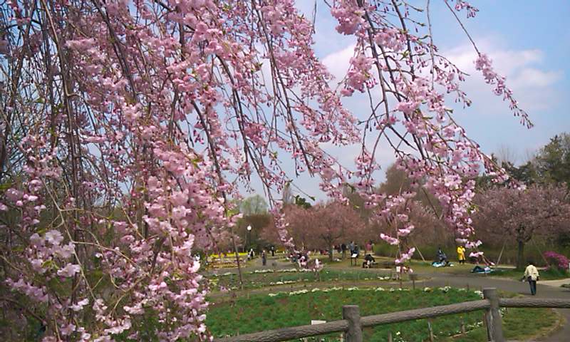f:id:favre-4:20110410102724j:image f:id:favre-4:20110410102724j:image